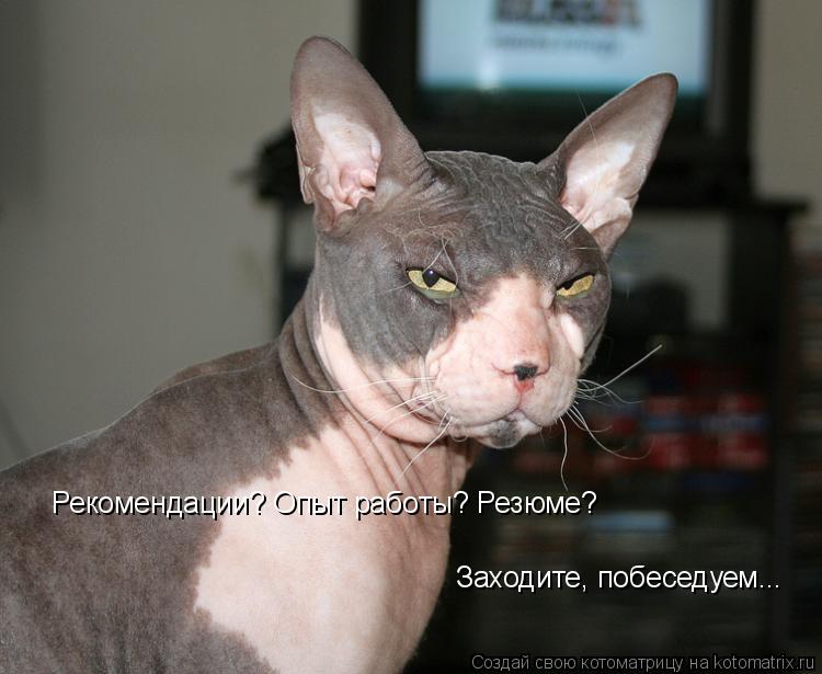 Рекомендации? Опыт работы? Резюме? Заходите, побеседуем...... Котоматрица: Рекомендации? Опыт работы? Резюме? Заходите, побеседуем...
