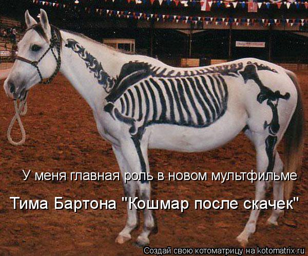 У меня главная роль в новом мультфильме Тима Бартона "Кошмар после скачек"... Котоматрица: У меня главная роль в новом мультфильме Тима Бартона "Кошмар после скачек"