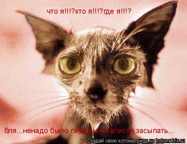бля...ненадо было первым на вписке засыпать... что я!!!?кто я!!!?где я!!!?... Котоматрица: бля...ненадо было первым на вписке засыпать... что я!!!?кто я!!!?где я!!!?