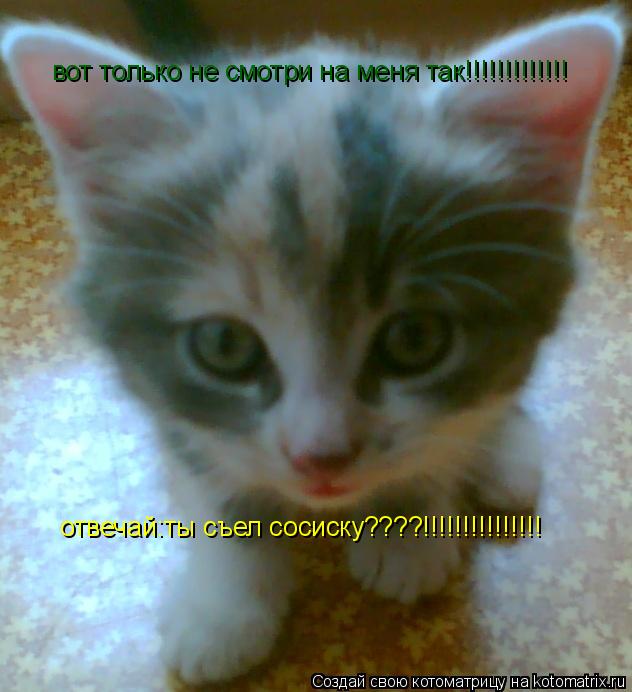 вот только не смотри на меня так!!!!!!!!!!!!! отвечай:ты съел сосиску????!!!!!!!!!!!!!!!... Котоматрица: вот только не смотри на меня так!!!!!!!!!!!!! отвечай:ты съел сосиску????!!!!!!!!!!!!!!!