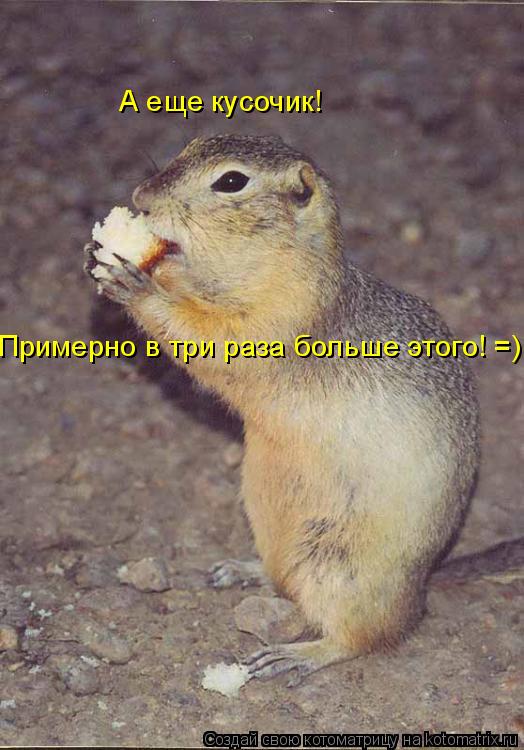 А еще кусочик! Примерно в три раза больше этого! =)... Котоматрица: А еще кусочик! Примерно в три раза больше этого! =)
