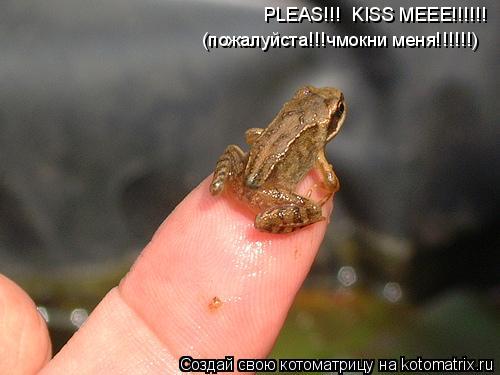 PLEAS!!! KISS MEEE!!!!!! (пожалуйста!!!чмокни меня!!!!!!)... Котоматрица: PLEAS!!! KISS MEEE!!!!!! (пожалуйста!!!чмокни меня!!!!!!)