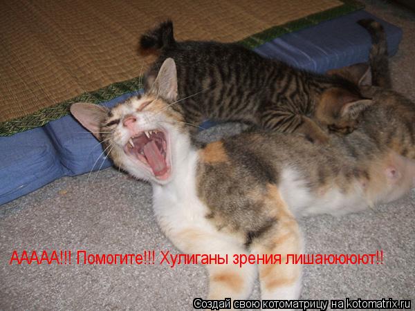 Котоматрица: ААААА!!! Помогите!!! Хулиганы зрения лишаюююют!!