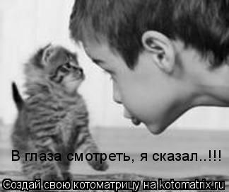 Котоматрица: В глаза смотреть, я сказал..!!!