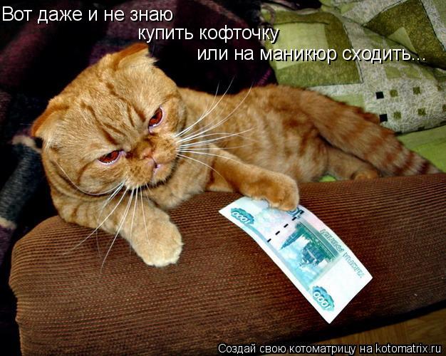 Котоматрица: Вот даже и не знаю купить кофточку или на маникюр сходить...