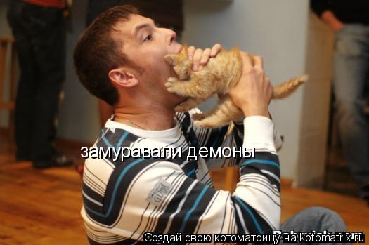 замуравали демоны... Котоматрица: замуравали демоны
