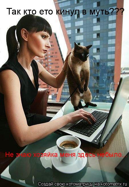 Так кто ето кинул в муть??? Не знаю хозяйка меня здесь небыло...... Котоматрица: Так кто ето кинул в муть??? Не знаю хозяйка меня здесь небыло...
