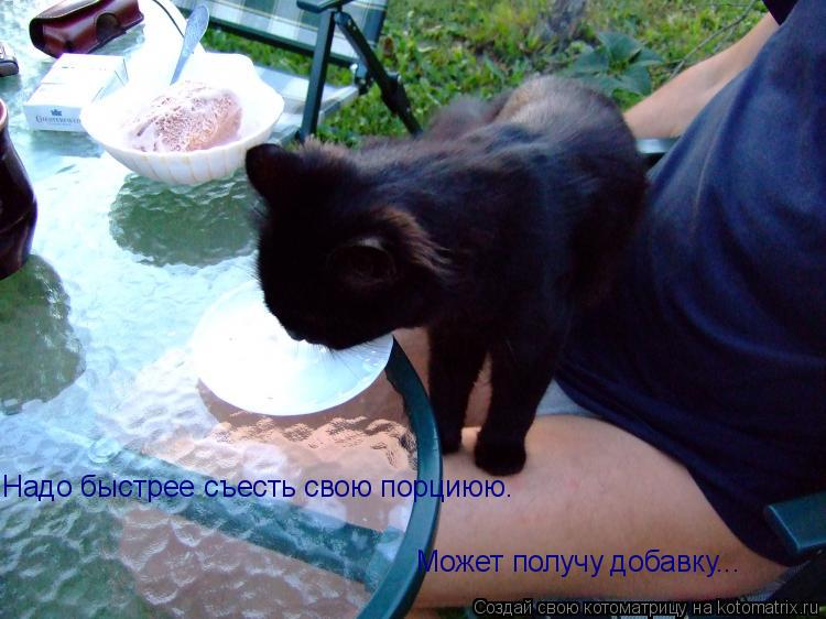 Котоматрица: Надо быстрее съесть свою порциюю.  Может получу добавку...