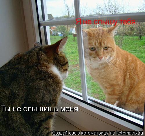 Ты не слышишь меня Я не слышу тебя... Котоматрица: Ты не слышишь меня Я не слышу тебя