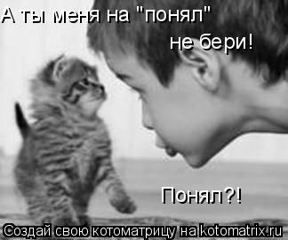 А ты меня на "понял" не бери! А ты меня на "понял" не бери! Понял?!... Котоматрица: А ты меня на "понял" не бери! А ты меня на "понял" не бери! Понял?!