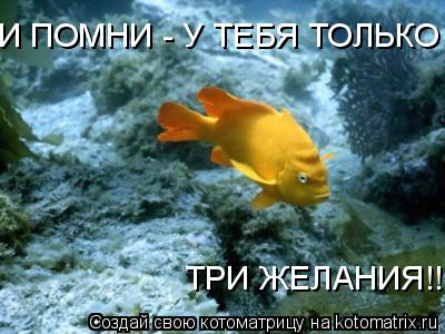 И ПОМНИ - У ТЕБЯ ТОЛЬКО ТРИ ТРИ ЖЕЛАНИЯ!!!... Котоматрица: И ПОМНИ - У ТЕБЯ ТОЛЬКО ТРИ ТРИ ЖЕЛАНИЯ!!!