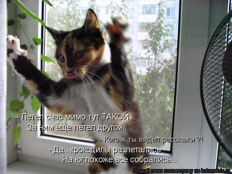 - Летел счас мимо тут ТАКОЙ... За ним ещё летел другой.. - Кого ж ты видел расскажи ?! - Да.. кроко... Котоматрица: - Летел счас мимо тут ТАКОЙ... За ним ещё летел другой.. - Кого ж ты видел расскажи ?! - Да.. крокодилы разлетались На юг,похоже,все собрались..