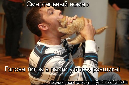 Смертельный номер: Голова тигра в пасти у дресировшика!... Котоматрица: Смертельный номер: Голова тигра в пасти у дресировшика!