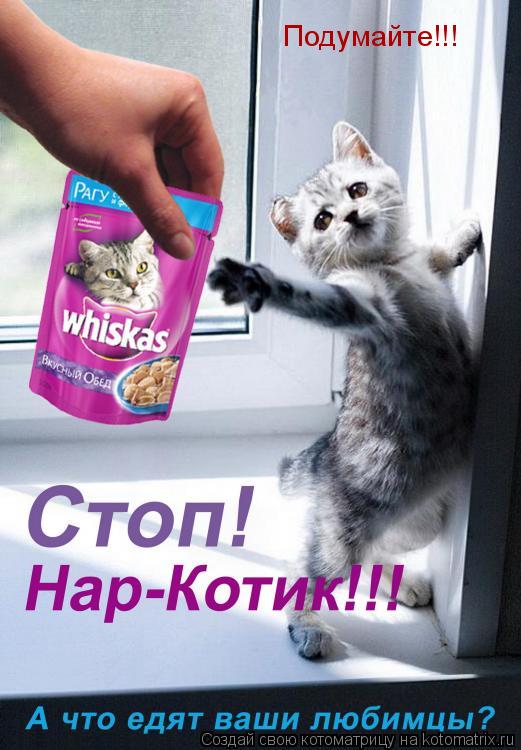 Подумайте!!!... Котоматрица: Подумайте!!!