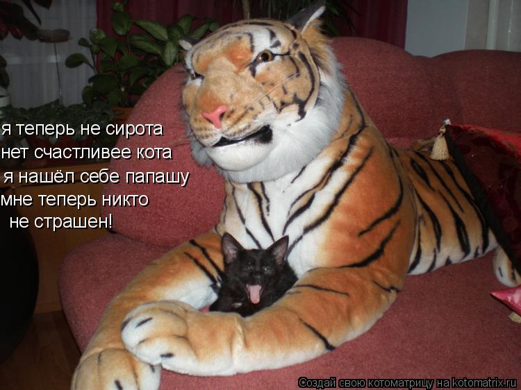 я нашёл себе папашу мне теперь никто нет счастливее кота я теперь не сирота не страшен!... Котоматрица: я нашёл себе папашу мне теперь никто нет счастливее кота я теперь не сирота не страшен!
