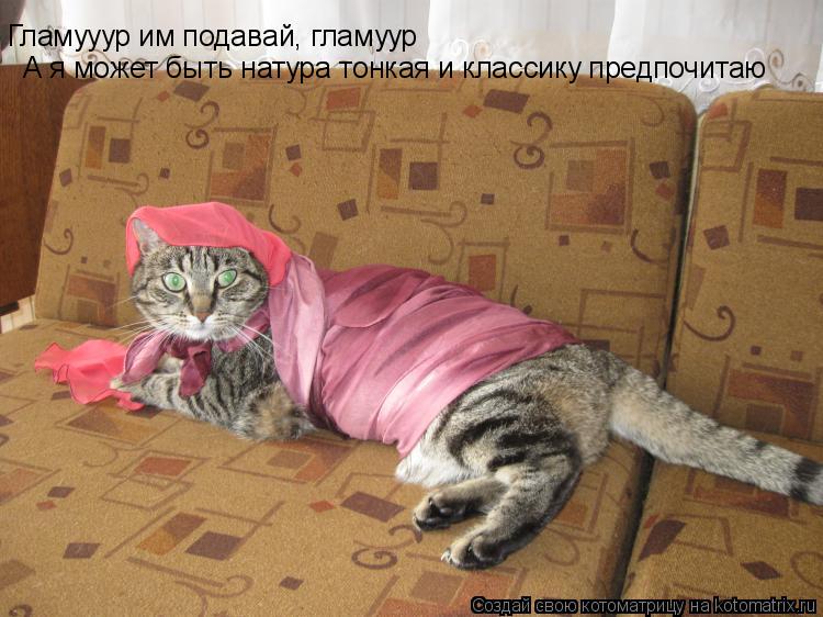 Котоматрица: Гламууур им подавай, гламуур А я может быть натура тонкая и классику предпочитаю