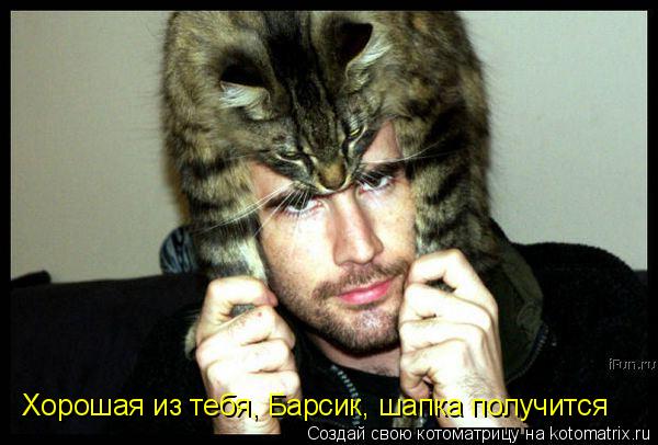 Хорошая из тебя, Барсик, шапка получится... Котоматрица: Хорошая из тебя, Барсик, шапка получится