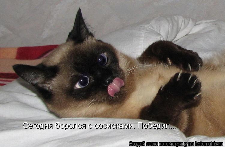 Сегодня боролся с сосисками. Победил...... Котоматрица: Сегодня боролся с сосисками. Победил...