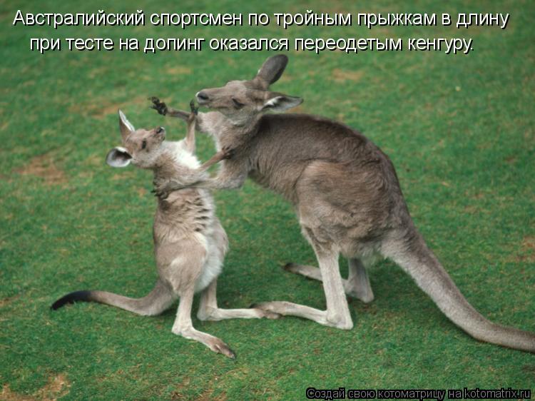 Австралийский спортсмен по тройным прыжкам в длину при тесте на допинг оказался переодетым кенгуру.... Котоматрица: Австралийский спортсмен по тройным прыжкам в длину при тесте на допинг оказался переодетым кенгуру.