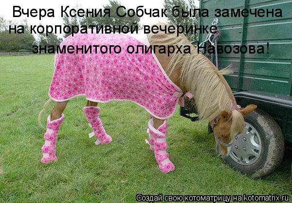 Вчера Ксения Собчак была замечена на корпоративной вечеринке знаменитого олигарха Навозова!... Котоматрица: Вчера Ксения Собчак была замечена на корпоративной вечеринке знаменитого олигарха Навозова!