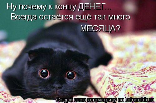 Ну почему к концу ДЕНЕГ... Всегда остаётся ещё так много МЕСЯЦА?... Котоматрица: Ну почему к концу ДЕНЕГ... Всегда остаётся ещё так много МЕСЯЦА?