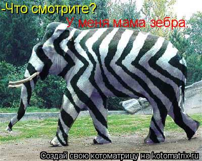 Котоматрица: -Что смотрите? У меня мама зебра.