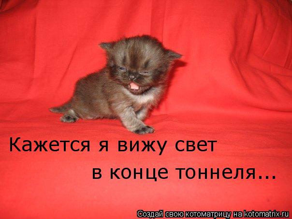 Котоматрица: Кажется я вижу свет в конце тоннеля...