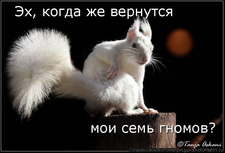 Котоматрица: Эх, когда же вернутся мои семь гномов?