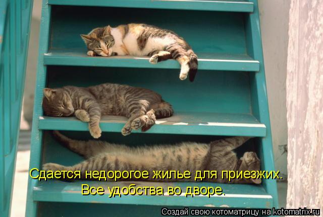 Сдается недорогое жилье для приезжих. Все удобства во дворе.... Котоматрица: Сдается недорогое жилье для приезжих. Все удобства во дворе.