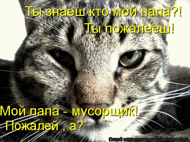 Ты пожалееш! Ты знаеш кто мой папа?! Мой папа - мусорщик! Пожалей , а?... Котоматрица: Ты пожалееш! Ты знаеш кто мой папа?! Мой папа - мусорщик! Пожалей , а?