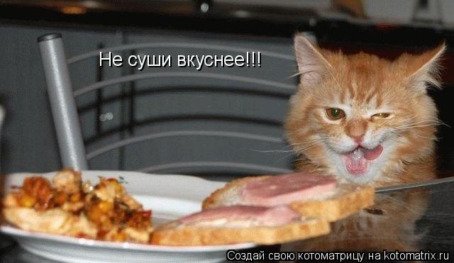 Не суши вкуснее!!!... Котоматрица: Не суши вкуснее!!!