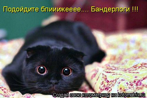 Подойдите блииижееее.... Бандерлоги !!!... Котоматрица: Подойдите блииижееее.... Бандерлоги !!!