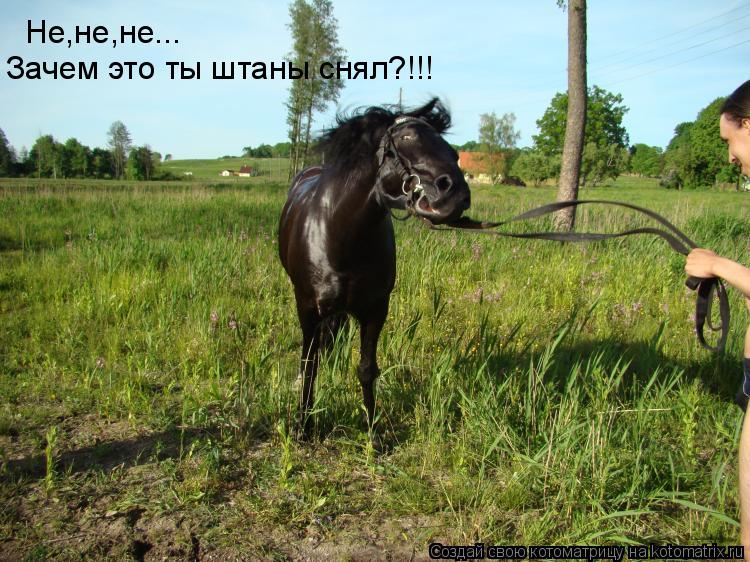Котоматрица: Не,не,не... Зачем это ты штаны снял?!!!