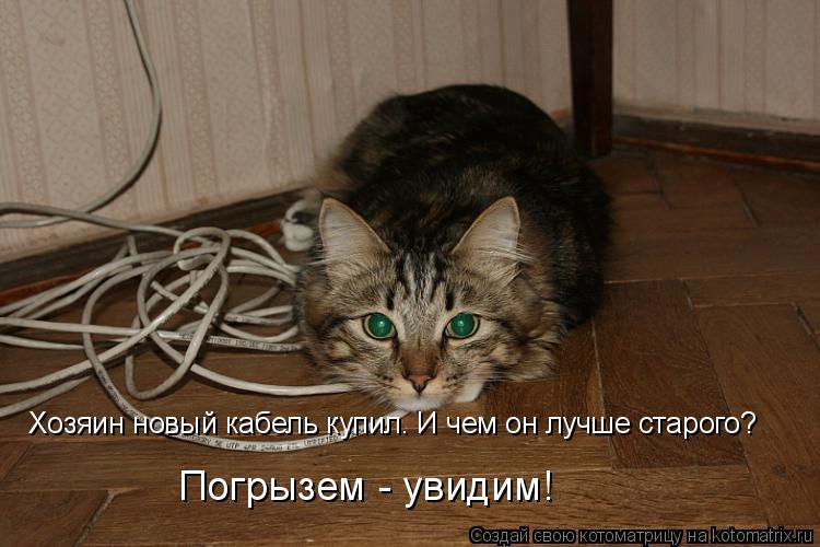 Хозяин новый кабель купил. И чем он лучше старого? Погрызем - увидим!... Котоматрица: Хозяин новый кабель купил. И чем он лучше старого? Погрызем - увидим!