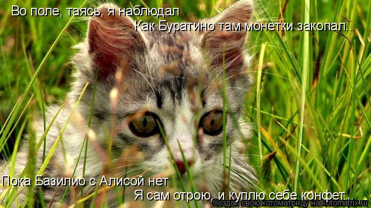 Котоматрица: Во поле, таясь, я наблюдал   Как Буратино там монетки закопал.. Я сам отрою, и куплю себе конфет... Пока Базилио с Алисой нет