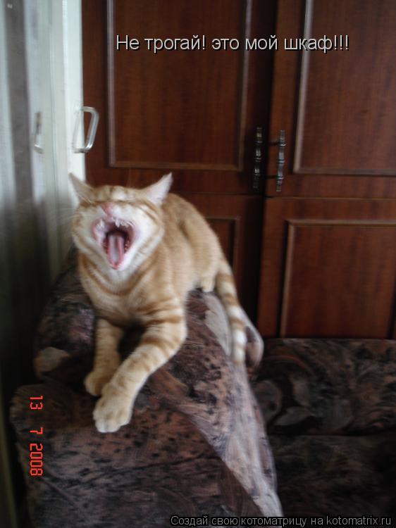 Не трогай! это мой шкаф!!!... Котоматрица: Не трогай! это мой шкаф!!!
