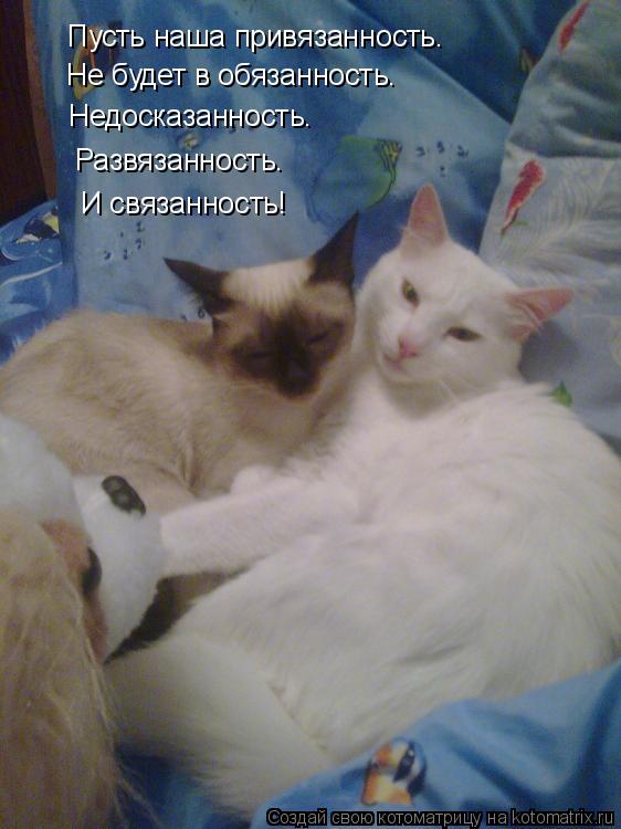 Пусть наша привязанность… Не будет в обязанность… Недосказанность… Развязанность… И связанно... Котоматрица: Пусть наша привязанность… Не будет в обязанность… Недосказанность… Развязанность… И связанность!