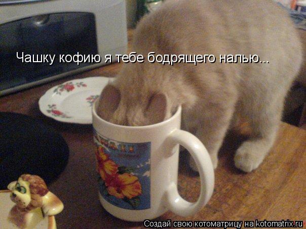 Чашку кофию я тебе бодрящего налью...... Котоматрица: Чашку кофию я тебе бодрящего налью...