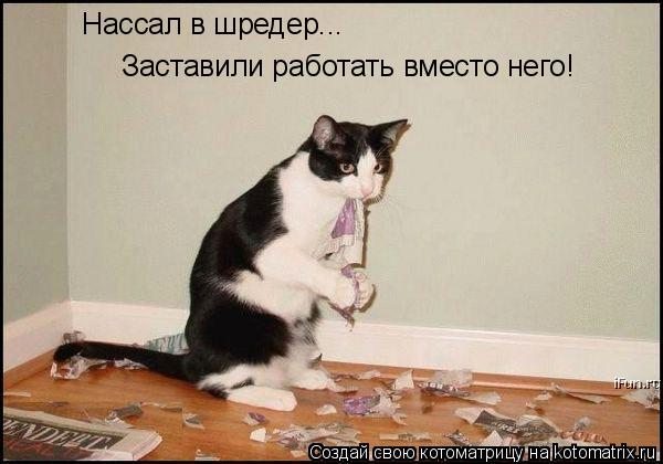 Нассал в шредер... Заставили работать вместо него!... Котоматрица: Нассал в шредер... Заставили работать вместо него!