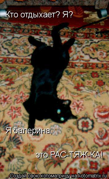 Котоматрица: Кто отдыхает? Я? Я балерина,  это РАС-ТЯЖ-КА!