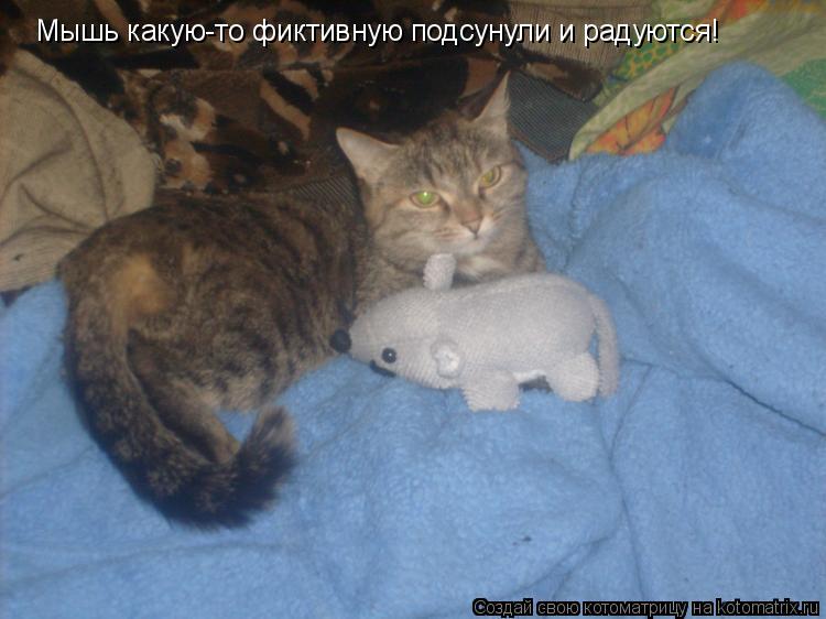 Мышь какую-то фиктивную подсунули и радуются!... Котоматрица: Мышь какую-то фиктивную подсунули и радуются!