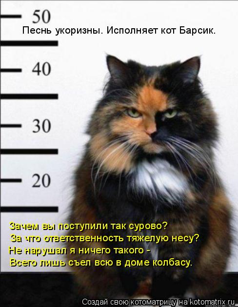 Песнь укоризны. Исполняет кот Барсик. Зачем вы поступили так сурово? За что ответственность тяжелую н... Котоматрица: Песнь укоризны. Исполняет кот Барсик. Зачем вы поступили так сурово? За что ответственность тяжелую несу? Не нарушал я ничего такого - Всего