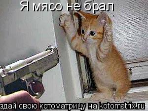 Я мясо не брал... Котоматрица: Я мясо не брал