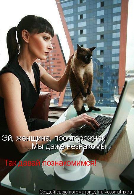 Эй, женщина, поосторожней ..Мы даже незнакомы Так давай познакомимся!... Котоматрица: Эй, женщина, поосторожней ..Мы даже незнакомы Так давай познакомимся!