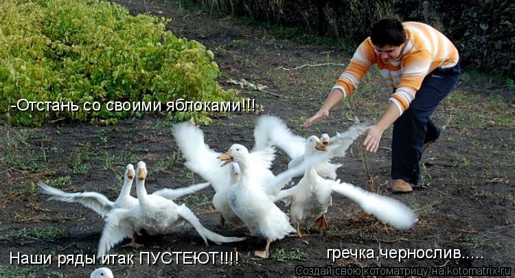 -Отстань со своими яблоками!!! Наши ряды итак ПУСТЕЮТ!!!! гречка,чернослив........ Котоматрица: -Отстань со своими яблоками!!! Наши ряды итак ПУСТЕЮТ!!!! гречка,чернослив.....