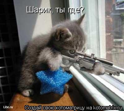 Шарик, ты где?... Котоматрица: Шарик, ты где?
