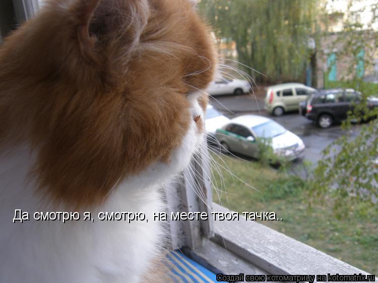 Да смотрю я, смотрю, на месте твоя тачка..... Котоматрица: Да смотрю я, смотрю, на месте твоя тачка..
