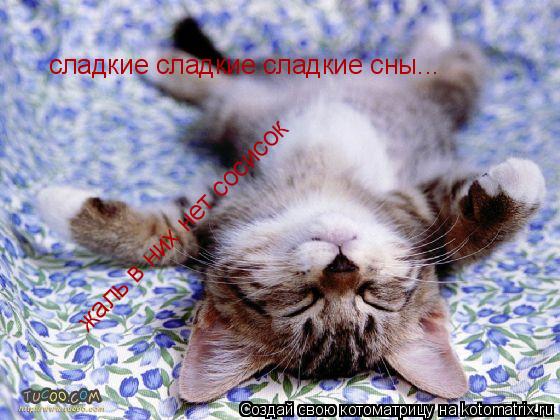 сладкие сладкие сладкие сны... жаль в них нет сосисок... Котоматрица: сладкие сладкие сладкие сны... жаль в них нет сосисок
