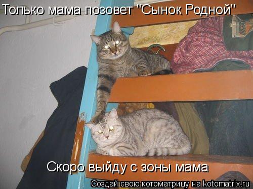Только мама позовет "Сынок Родной" Скоро выйду с зоны мама... Котоматрица: Только мама позовет "Сынок Родной" Скоро выйду с зоны мама