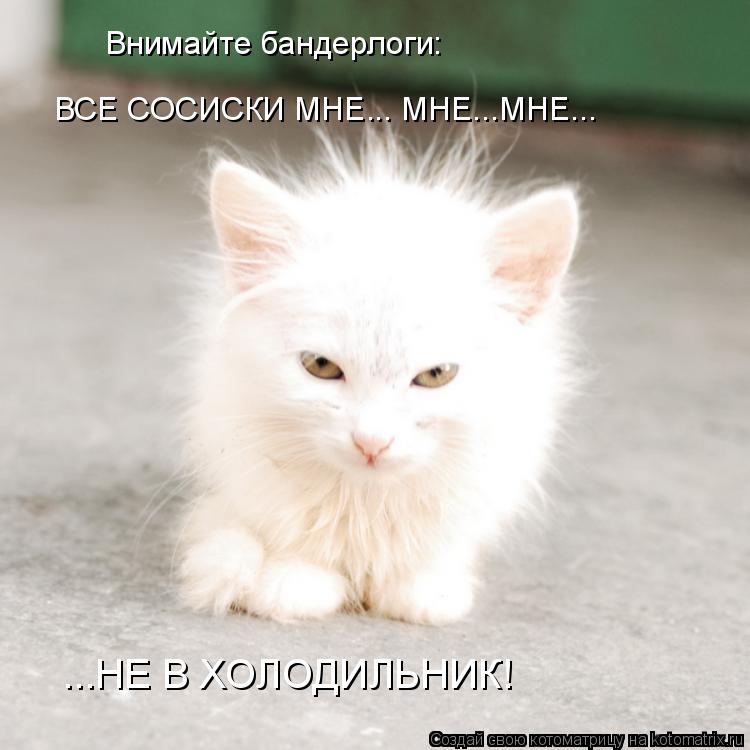 Котоматрица: Внимайте бандерлоги: Внимайте бандерлоги: ВСЕ СОСИСКИ МНЕ... МНЕ...МНЕ... ...НЕ В ХОЛОДИЛЬНИК!